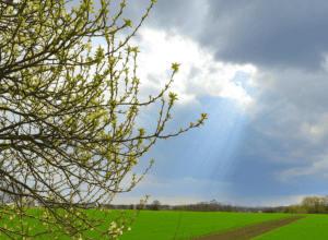 «Vremea de Paște în Germania: Prognoză meteo»