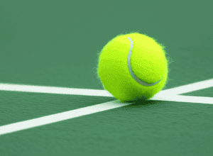 Schimbare de nume pentru tânărul jucător de tenis - De ce Dedura nu se mai numește Palomero