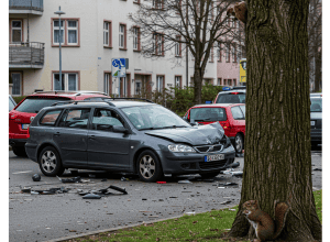 Speyer: O veveriță provoacă un accident
