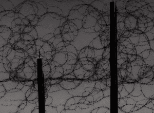 Supraviețuitor al Holocaustului, Walter Frankenstein, a murit la 100 de ani