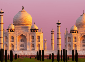 Ofensiva în Asia - Vance își ia copiii la summitul vamal din India