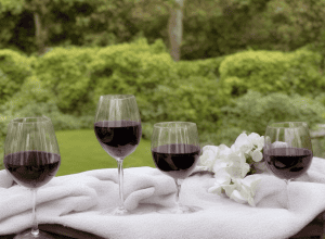 Vin roșu și un pulover alb - O petrecere în grădină cu final dezastruos