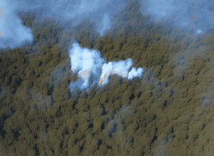 Incendii devastatoare în Los Angeles - Un incendiu de pădure amenință localitățile de pe coasta de est a SUA