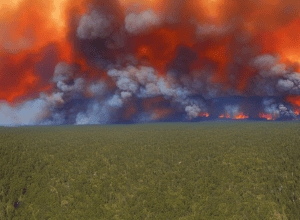 Incendii devastatoare în apropiere de New York