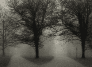 Bochum: Exhibitionist agresează o femeie într-un parc