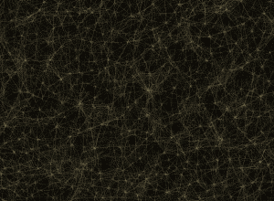 Apropiați ai șefului Tesla dezvăluie: Musk se teme să vină în Germania!