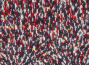 AfD depășește CDU în sondaje – Un nou șoc electoral în Germania