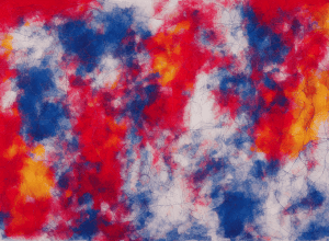 Fostul antrenor al echipei naționale, Martina Voss-Tecklenburg – Profil complet