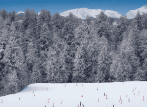 A câștigat odată Turneul celor Patru Trambuline - Legendă germană a săriturilor cu schiurile a murit