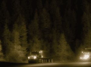 Prins la 76 de ani! – Un hoț de lemne cu camionul a fost prins în pădure