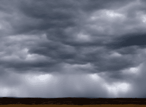 Temperaturi în scădere – „Sfinții de Gheață anticipați”