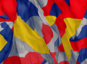Reacții în direct la BILD - Cutremurul AfD!