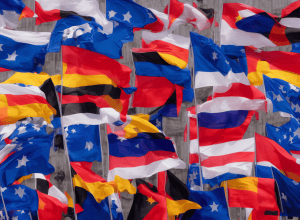 Raport despre expertiza secretă - Iată exemplele pentru care AfD este considerat extremist de dreapta