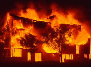 Borken: Câine salvează locatarii dintr-un incendiu la o casă