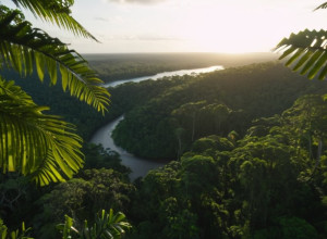 Cancelarul Merz la COP30: Germania promite sprijin semnificativ pentru climă, dar fără sume precise