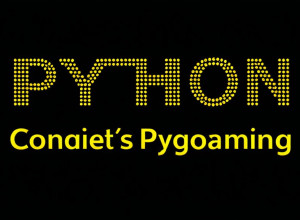 Bazele Python pentru începători