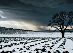 Începe a cincea iarnă de război: se apropie colapsul Ucrainei?