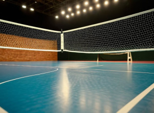 Scenă incredibilă în Bundesliga de handbal: un fan a contribuit la o fază de gol