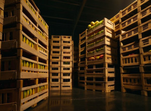 Descoperire de 20 de milioane de euro: Peste 500 kg de cocaină, găsite accidental în supermarketuri din Germania