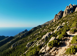 Tragedie în Corsica: Un turist german de 43 de ani, găsit mort după un an de căutări