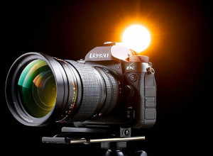 Said El Mala, tânărul talent care l-a impresionat pe Julian Nagelsmann la naționala Germaniei