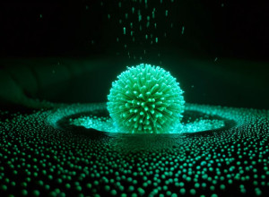 Alarmă la Hamburg: Poliovirus sălbatic detectat în apele uzate