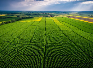 Schimbările climatice: consecințe globale și soluții