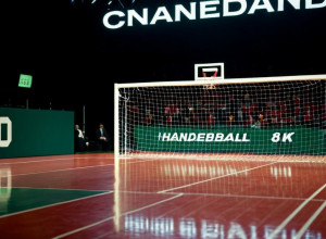 SC DHfK Leipzig își concediază antrenorul și directorul sportiv