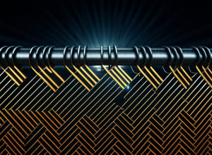 Decizia Curții Constituționale din Germania: noi reguli pentru deportări și combaterea migrației ilegale