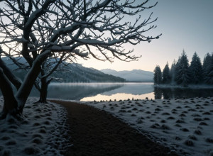 Totensonntag și Decorațiunile de Crăciun: Când Este Potrivit Să Începi Să Decorezi?