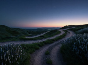 Ana Ivanovic și Bastian Schweinsteiger divorțează