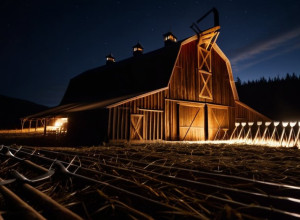 Cine a fost eliminat de la „Ferma Vedetelor” (Der Promihof)? Detalii exclusive despre dramă și întoarceri surprinzătoare