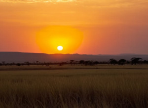 Finalul lui Africa Cup: șcădânturi și redresări