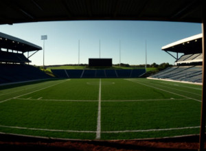 Răscârlirea 1. FC Saarbrücken: Cine va deveni urmatorul boss?