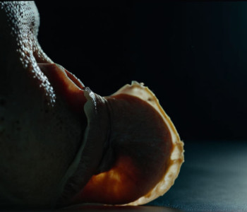 Dezvăluirea dură a lui Paris Jackson: &quot;O gaură în nas din cauza drogurilor&quot;