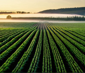 Fermierul de sparanghel Friedrich, un record de aplicații la &quot;Bauer sucht Frau&quot;