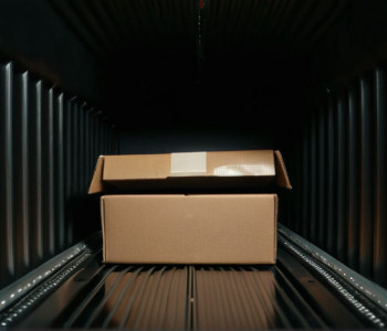 Trafic Ilegal cu Țestoase Rare: Francez Oprit la Granița Germaniei cu 31 de Reptile în Cutii