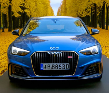 O șoferiță din Germania a încercat să ascundă numerele de înmatriculare expirate cu frunze de toamnă