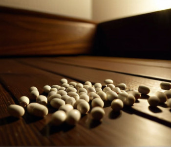 Tragedia din vacanță: O familie a murit din cauza unui pesticid toxic. Se folosește și în Germania?