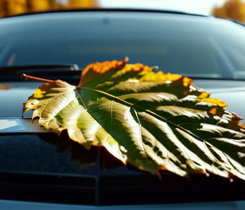 Încercare eșuată de ascundere: Șoferiță din Germania a camuflat numerele expirate cu frunze