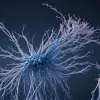 Scleroză Multiplă Explicată de Expert: Când Sistemul Imun Atacă Nervii
