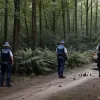 Descoperire macabră în pădurea de lângă Hamburg: Poliția caută rămășițe umane