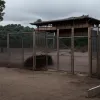 Jaf brutal la o grădină zoologică din Germania: donații furate și animale rare ucise