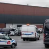 12 români arestați în Hamburg pentru furtul a 15 tone de nuci, prinși când încercau să le vândă proprietarului
