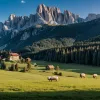 Tragedie în Alpi: Un bărbat a murit secționat de drujbă, sub influența drogurilor. Concluziile procuraturii