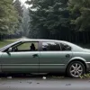 Accident grav lângă Rostock: o femeie de 85 de ani a intrat cu mașina într-un copac