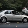 Accident Mortal în Brandenburg, Germania: Șoferul a Decedat După ce S-a Prăbușit cu Mașina într-un Copac