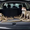 Ucrainean prins la vamă în Germania: încerca să introducă ilegal 47 de animale, inclusiv șerpi veninoși