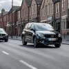 Oi pe drum în Germania: Trei animale au blocat traficul în Einbeck, Poliția și localnicii au ajutat la prindere
