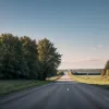 Cruzime șocantă în Polonia: Bărbat a târât câini legați de mașină pe șosea